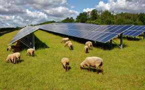 Construction capacity can't keep up with 'phenomenal' demand for solar power