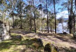 Hogan joins the call to save Bells Bay at Toonumbar Dam